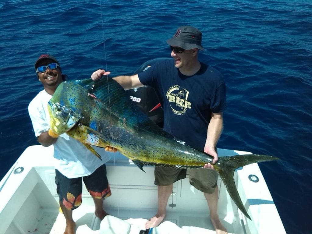 Tour de Pesca Allín