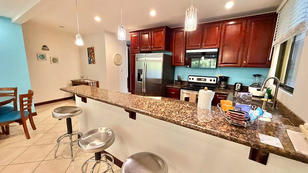 Luxury Condo for Rent